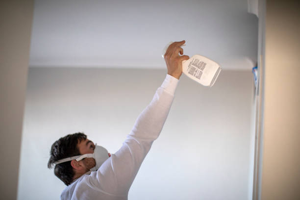 Best Home Mold Removal  in Brookland, AR