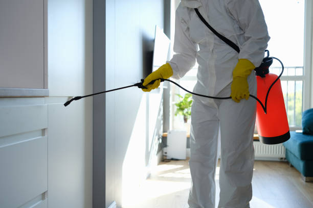 Best Toxic Mold Removal  in Brookland, AR